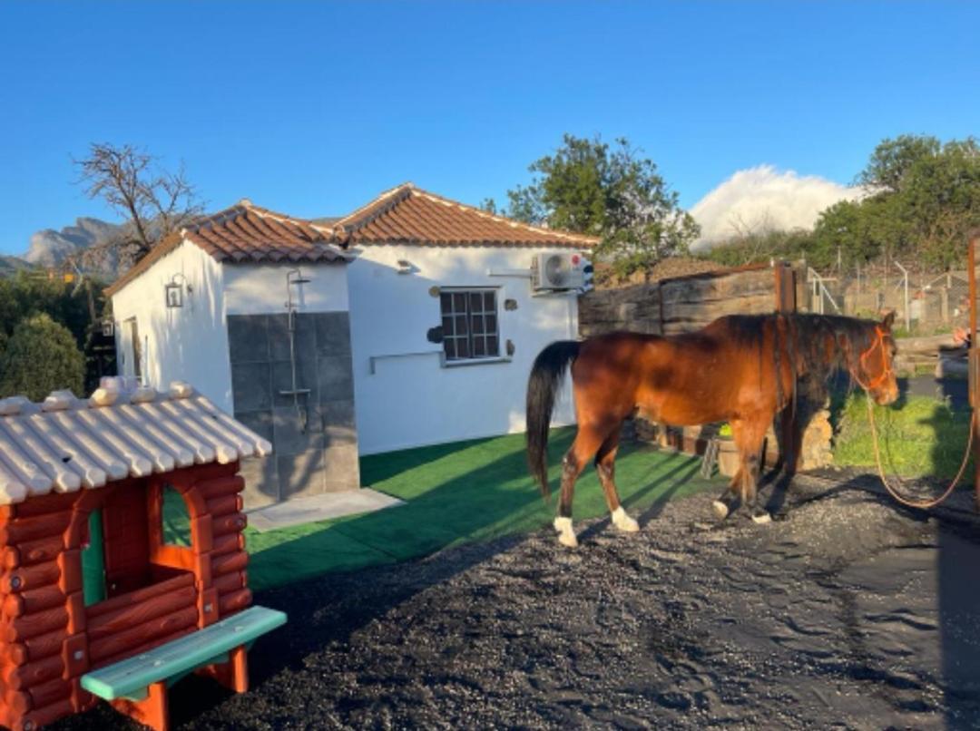 Casa Rural Finca Los Paredones El Paso Exterior foto